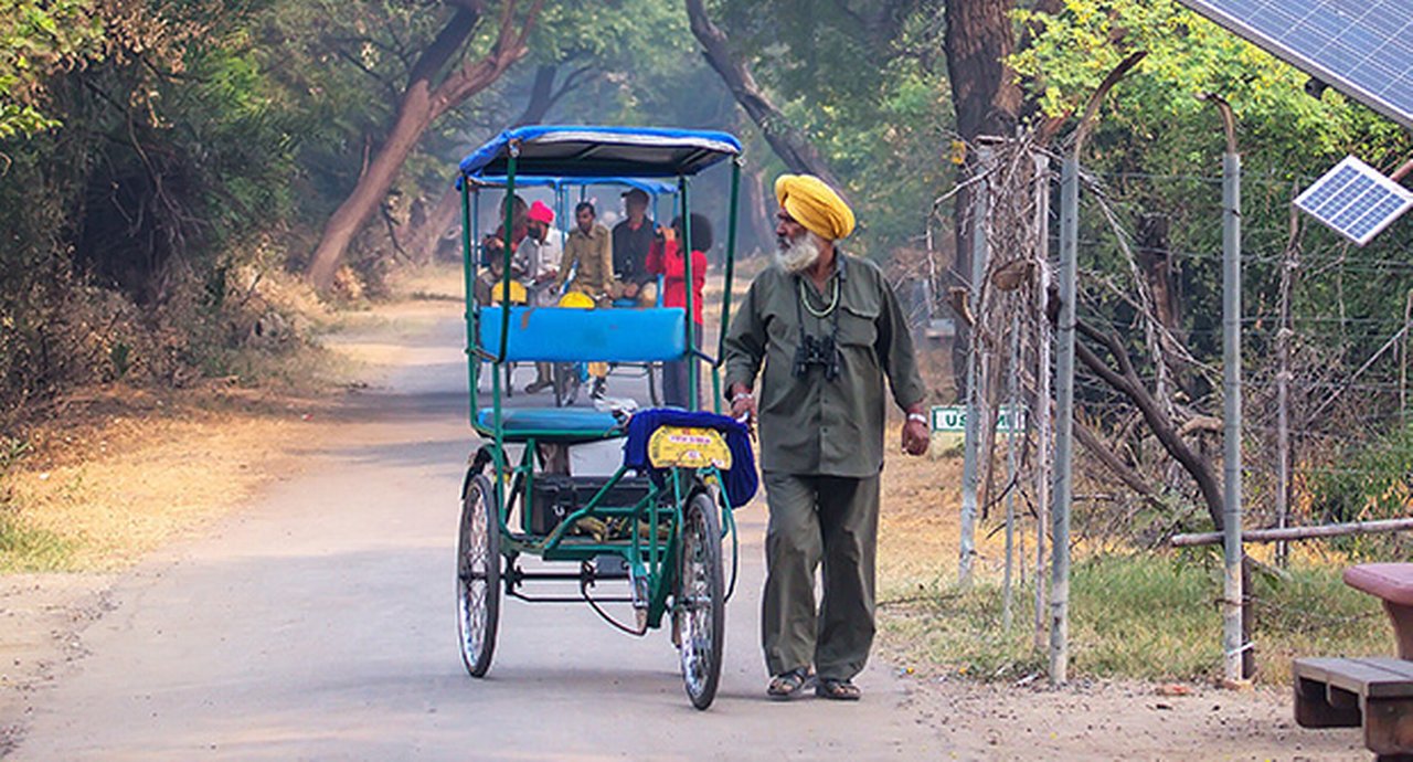 Cycle Rickshaw Walking In Keoladeo Ghana National Park In Bharatpur