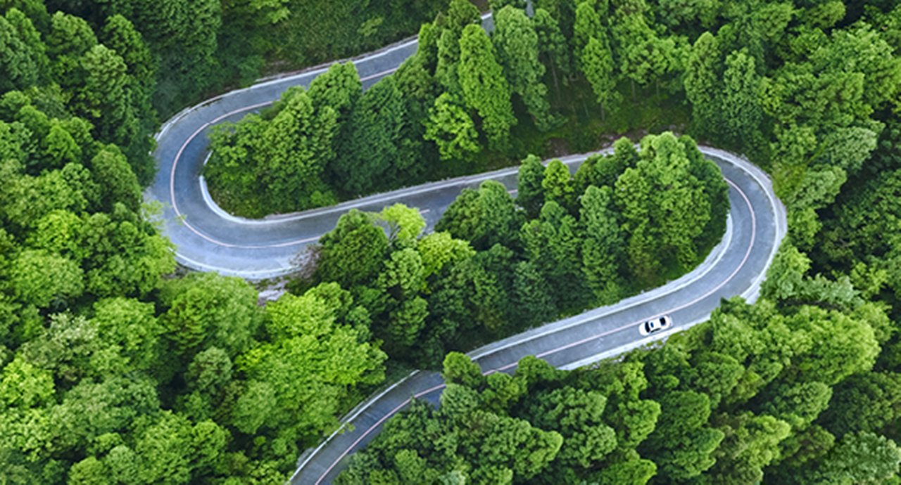 Winding road through the woods