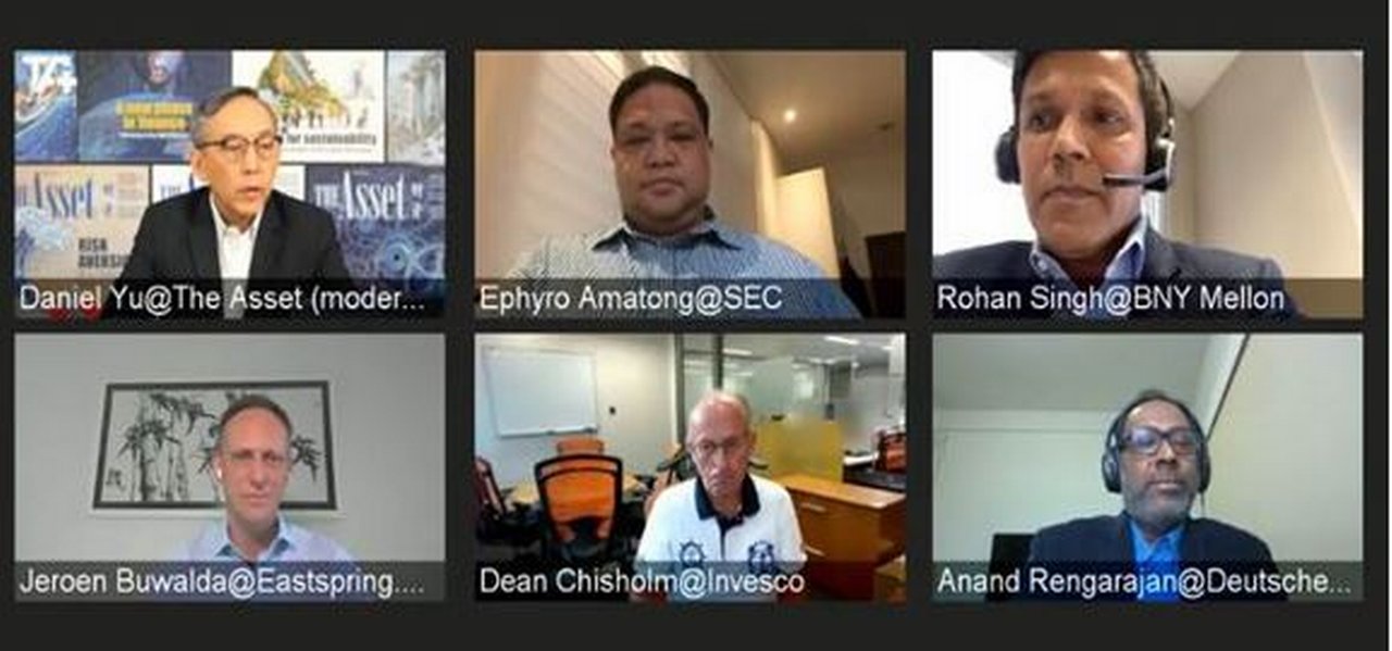 The Asset Webinar Screenscast