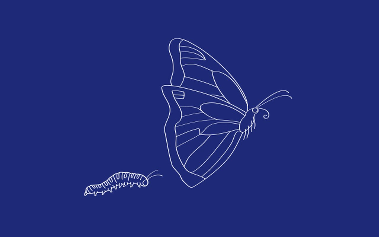 schematically depicted caterpillar and butterfly on a dark blue background