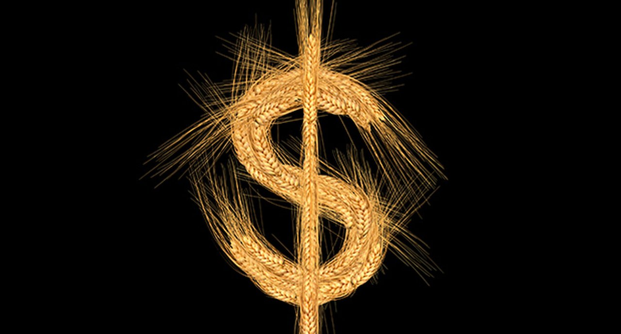 food crisis and scarcity of economic inflation concept