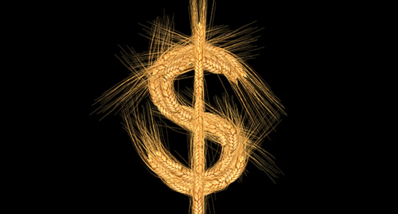 food crisis and scarcity of economic inflation concept