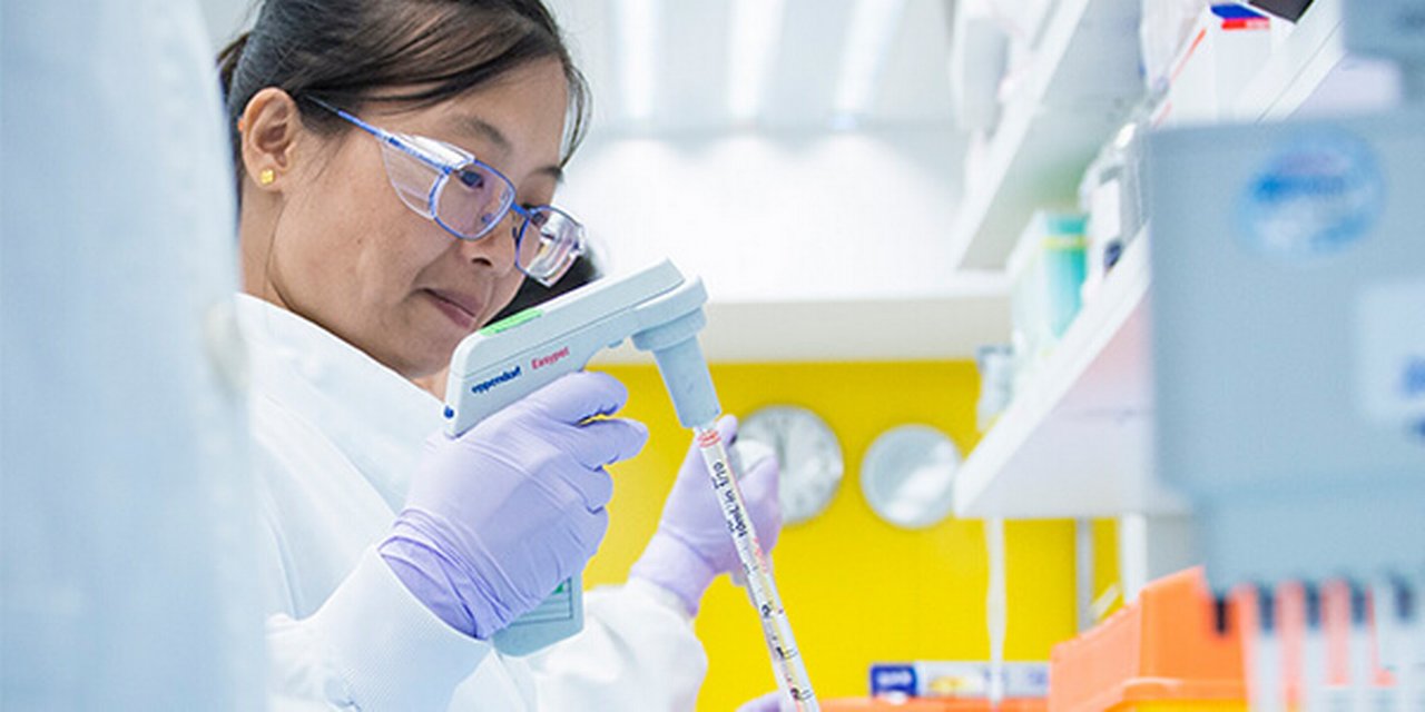 An Asian female laboratory technician very focused on pipetting