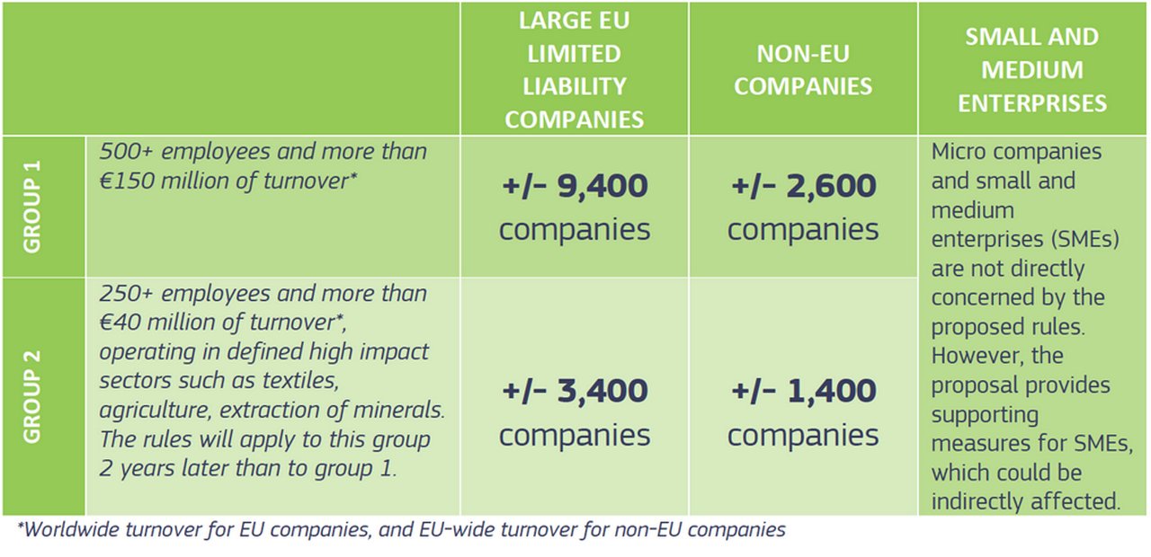 Figure 1 Companies affected by the new rules