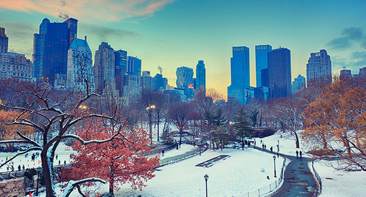 Winter In Central Park Nyc