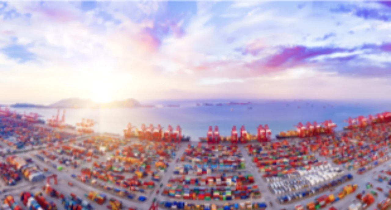 Export credit insurance in crises