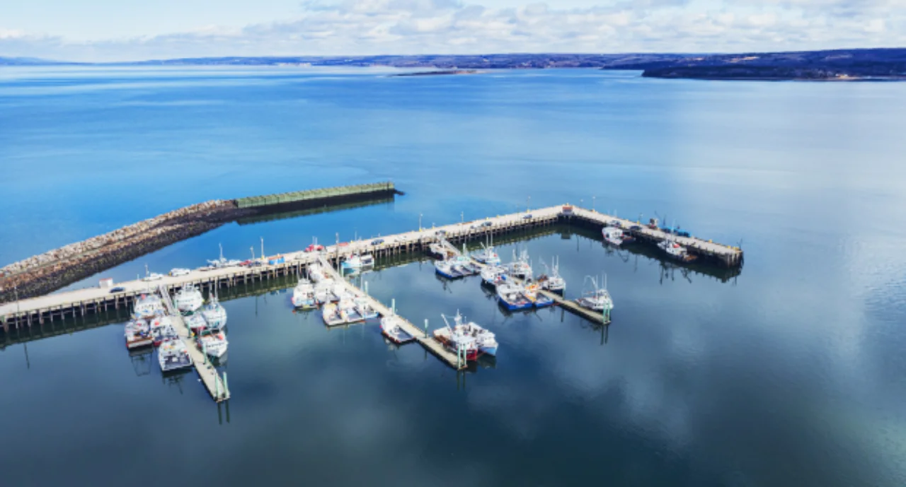 Small Town Wharf
