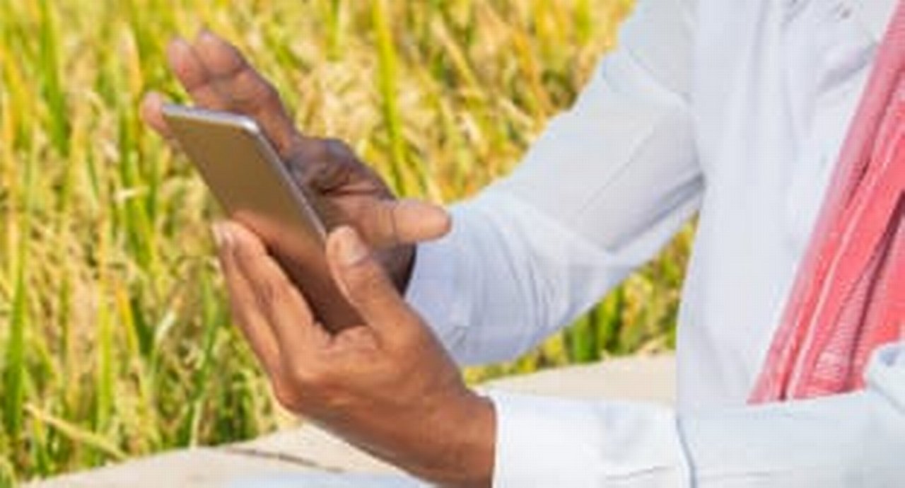 Close up of Indian famer Hands using mobile near agricultural farm land