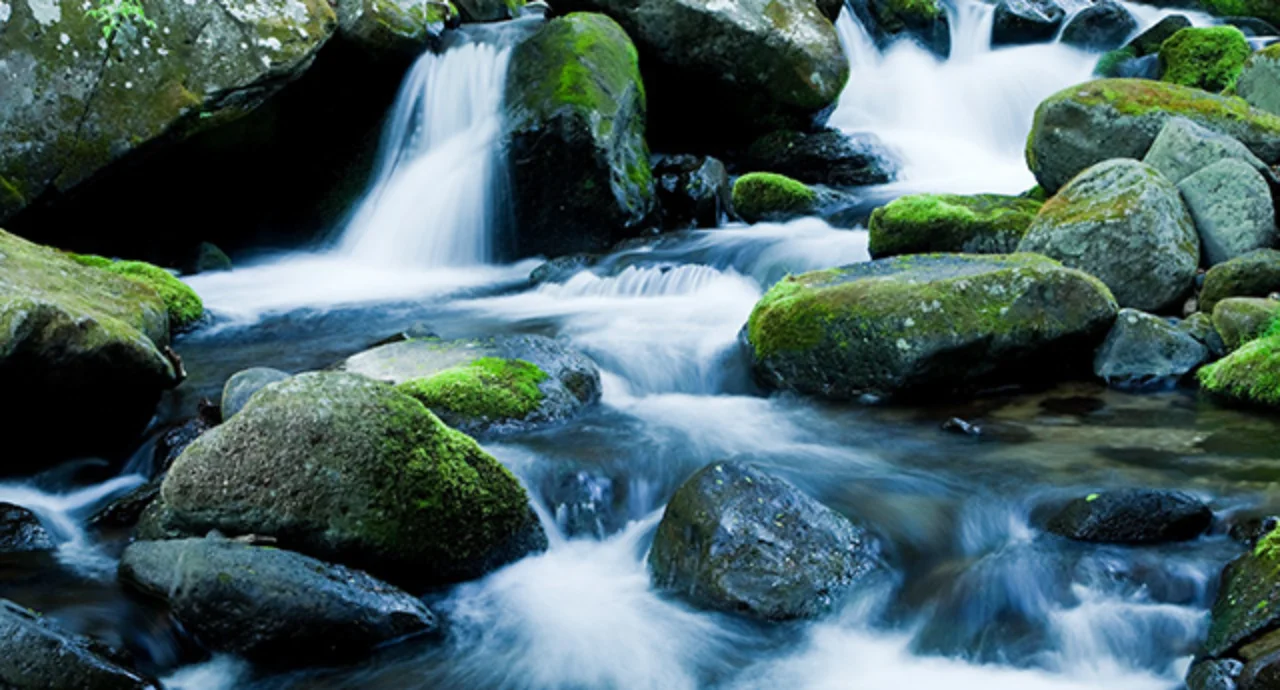 mountain stream flows through mossy rocks