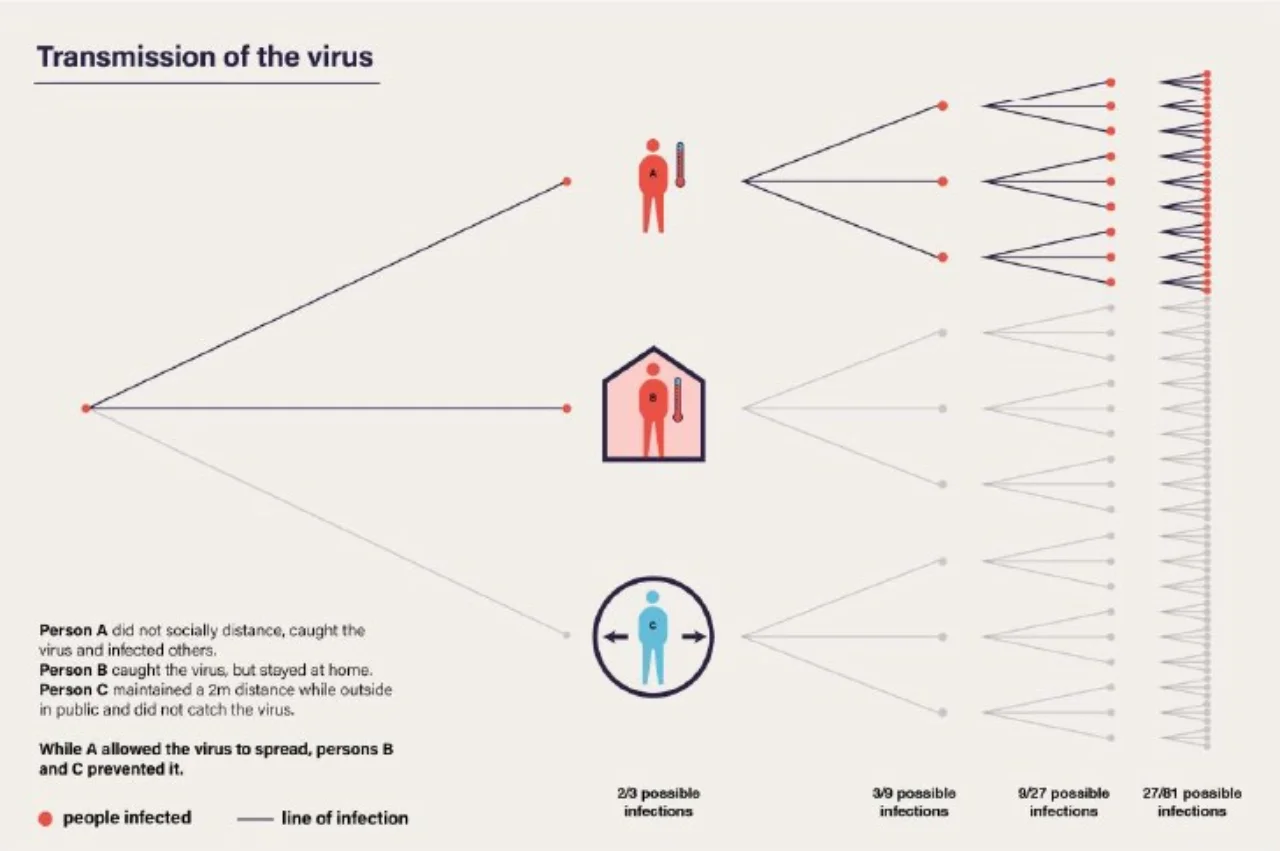Figure 4: Transmission of the virus