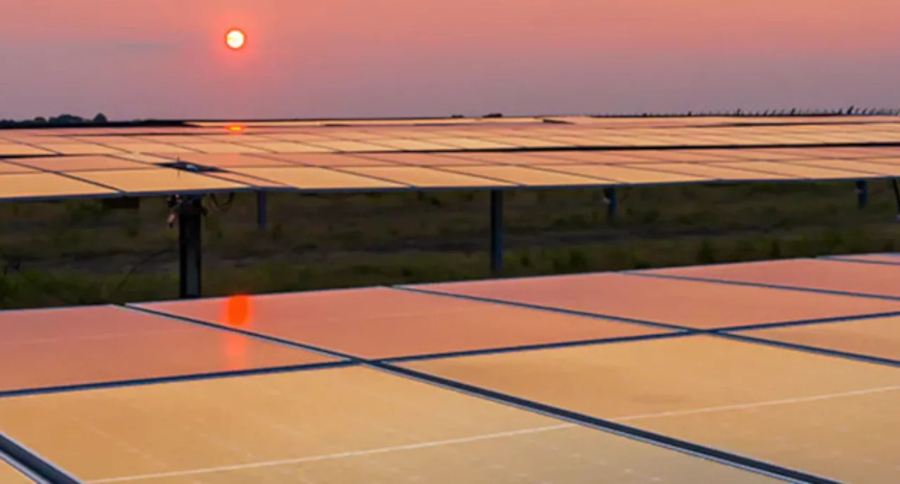 Solar panels at dusk with the sun in the background