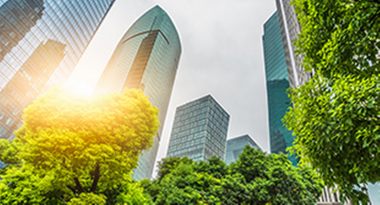Skyscrapers reflecting the sun from below through a canopy of leaves