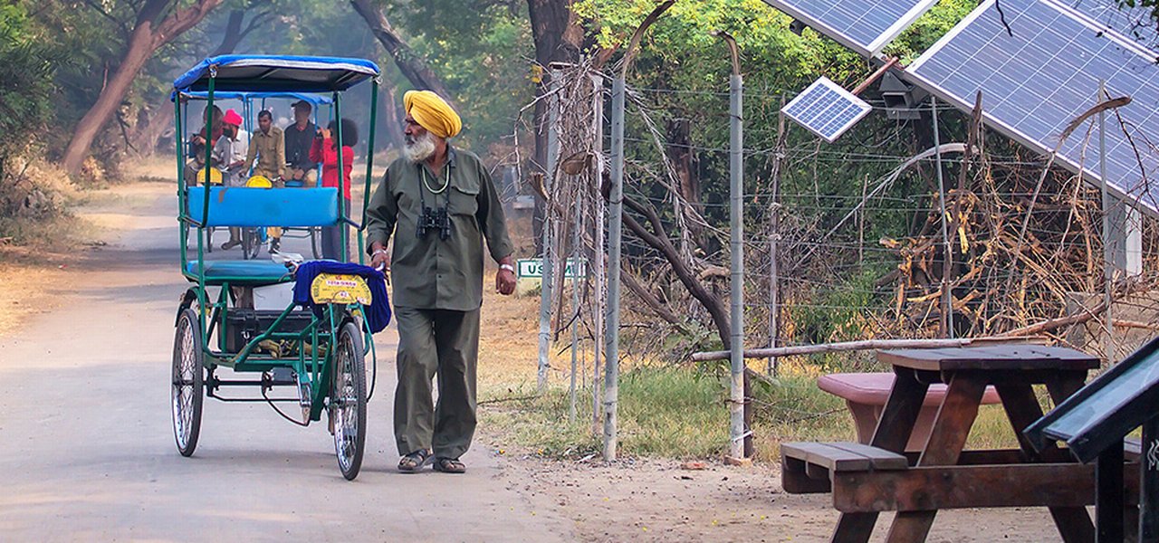 Cycle Rickshaw Walking In Keoladeo Ghana National Park In Bharatpur