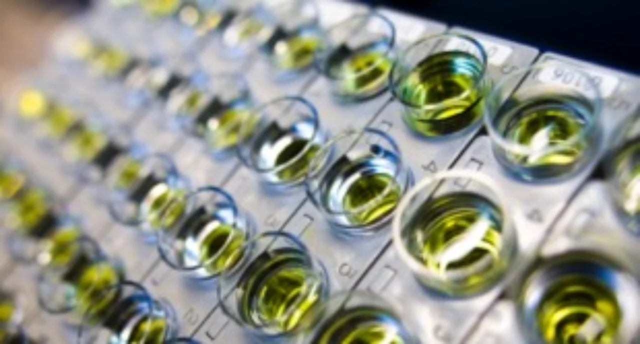 Roche's Cobas 6000 analysis module