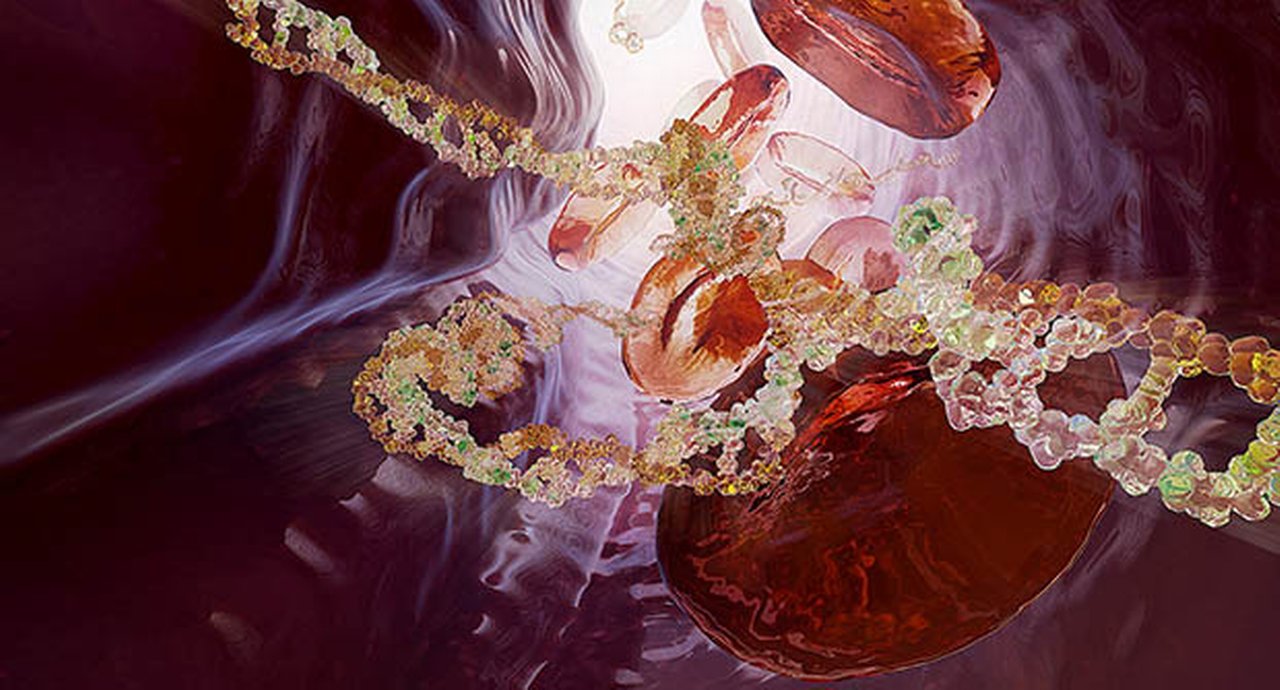 Depiction of cells and DNA