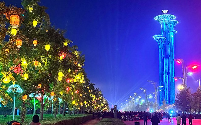 Illuminated trees and buildings