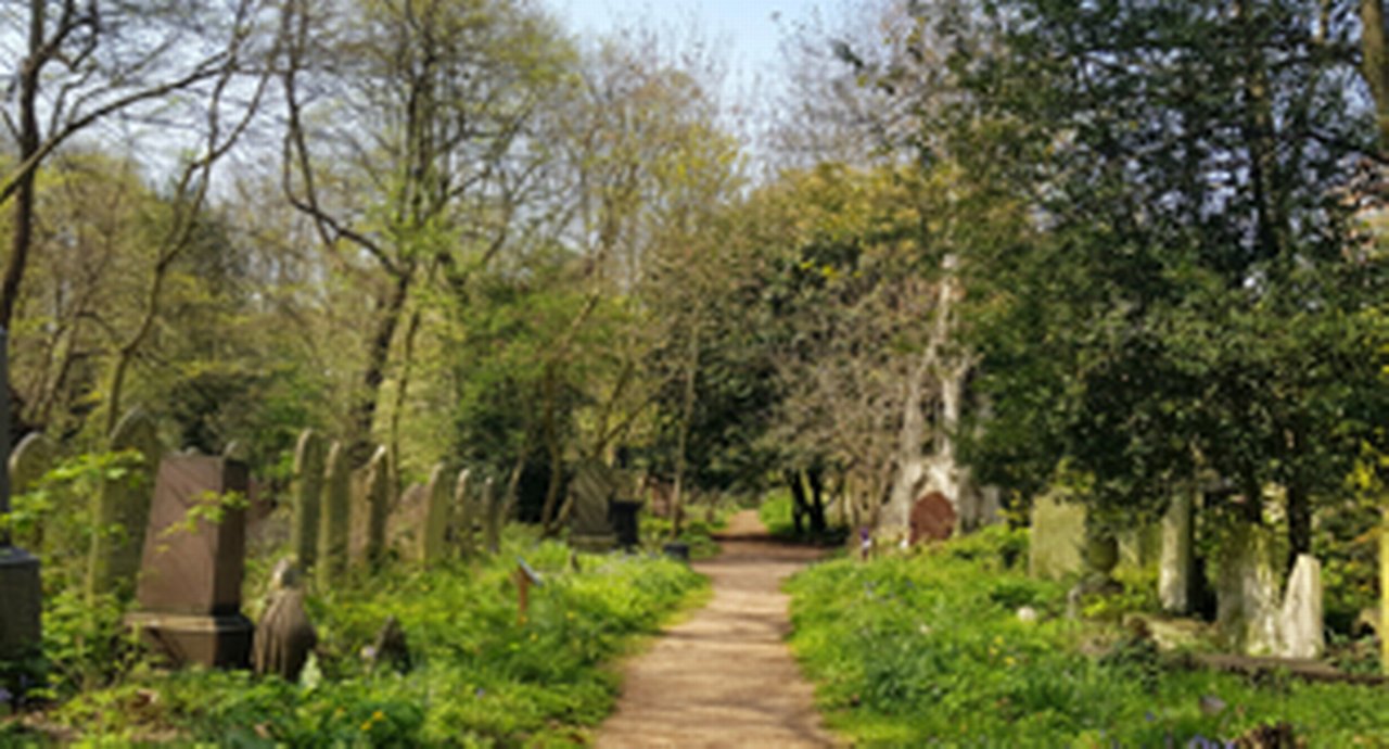 Poetry-in-the-park_310x167.jpg