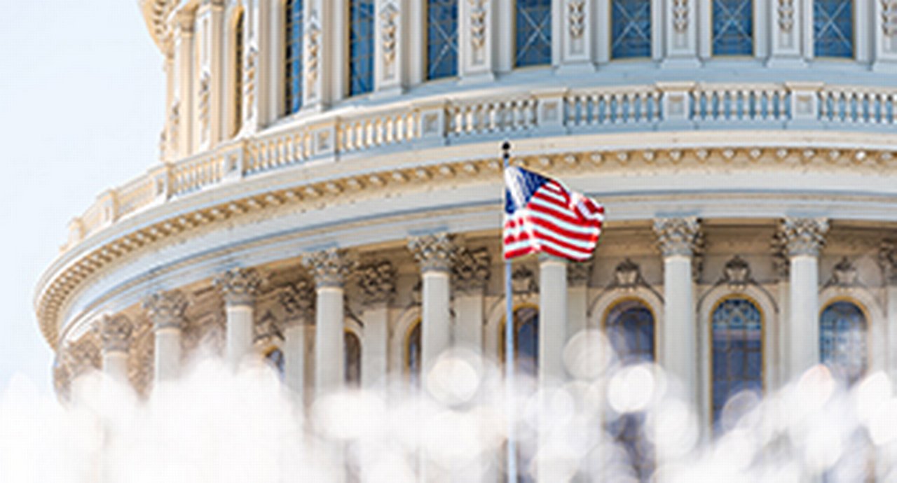 The United States Capitol