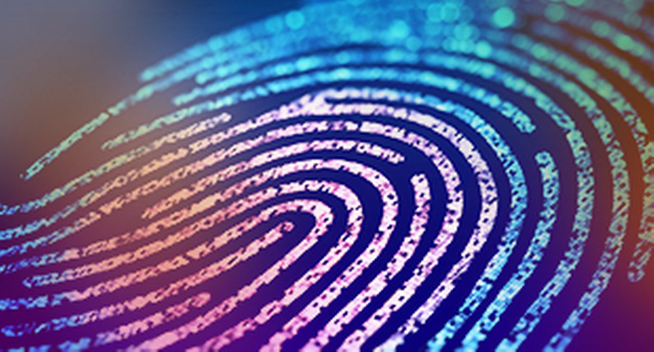 An enlarged digital fingerprint