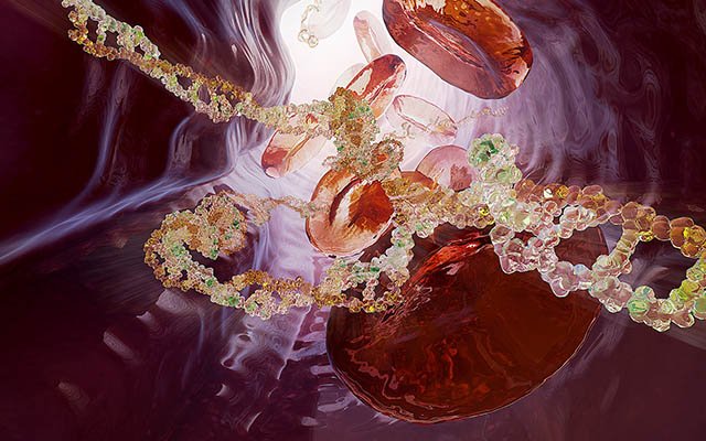 Depiction of cells and DNA