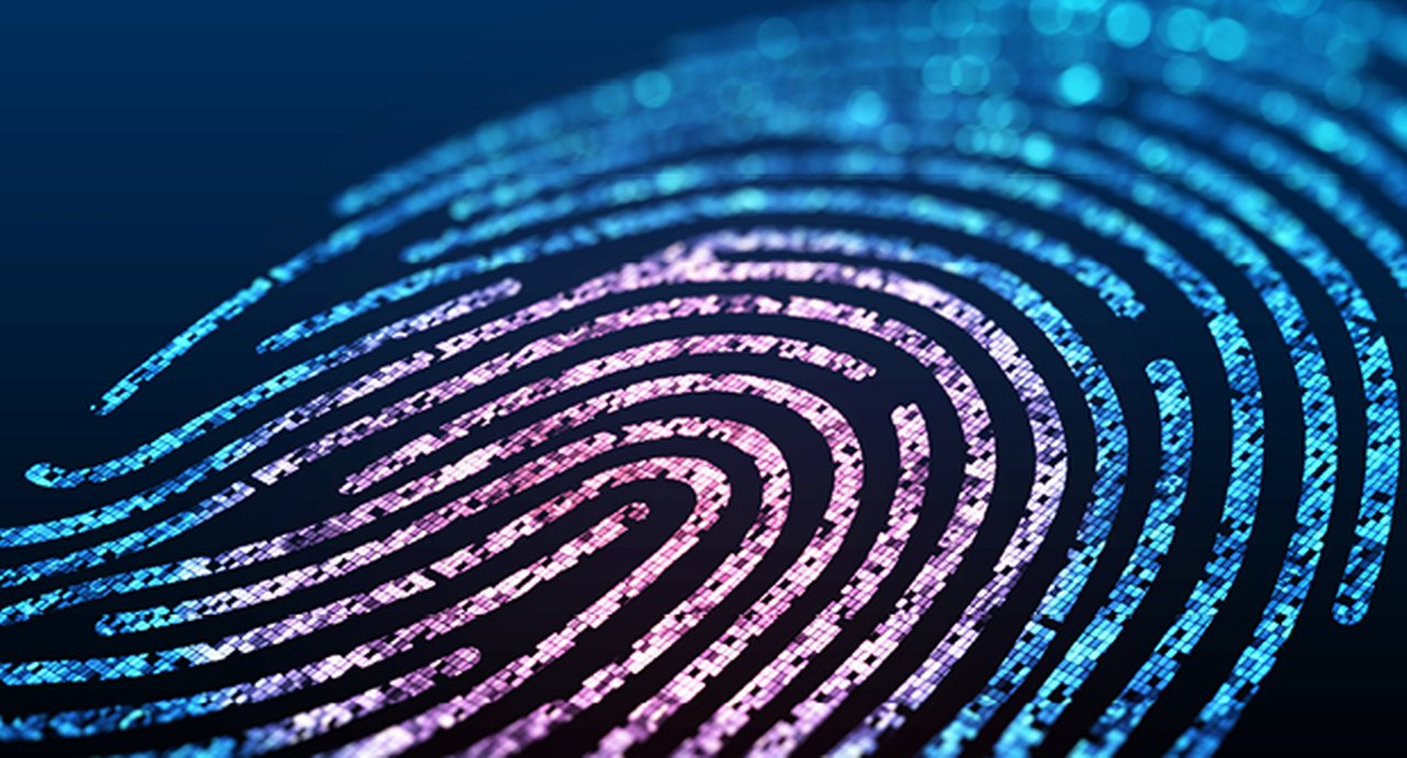 Multicolor fingerprint