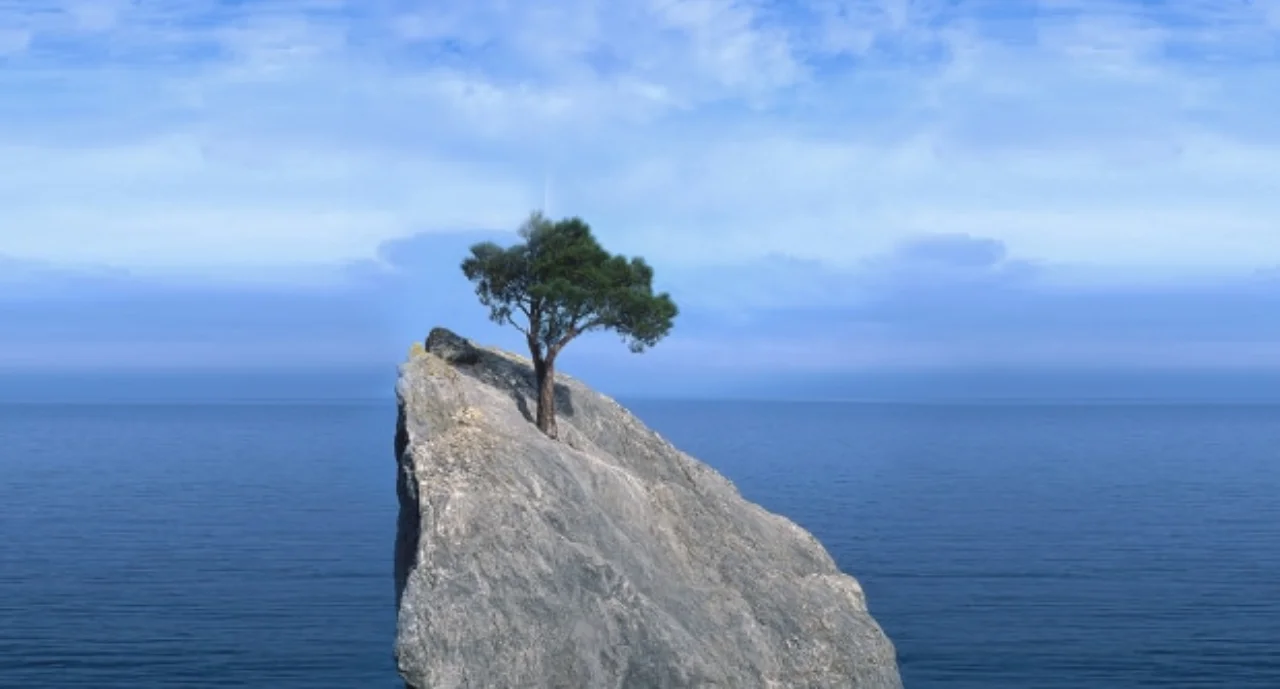 Tree that fights for life on a rock