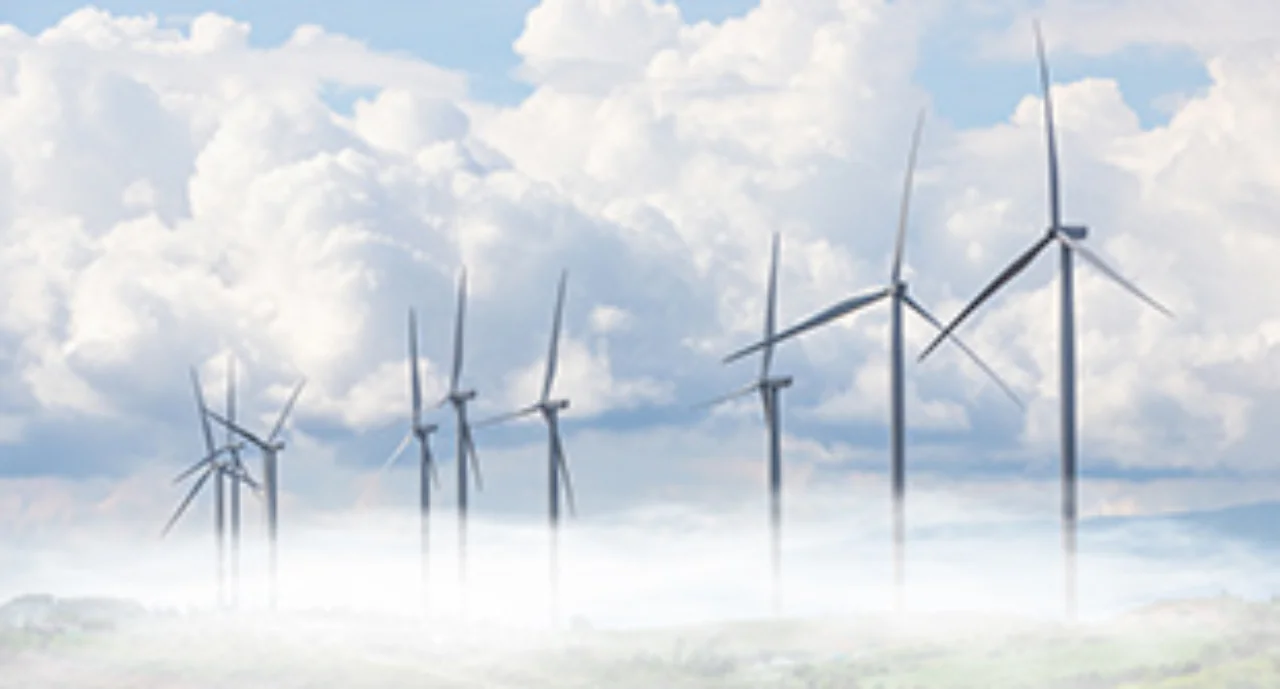 How-to-manage-the-transition-to-net-zero-310x167.jpg