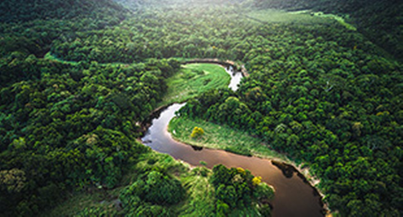 Treasurers are facing key ESG challenges