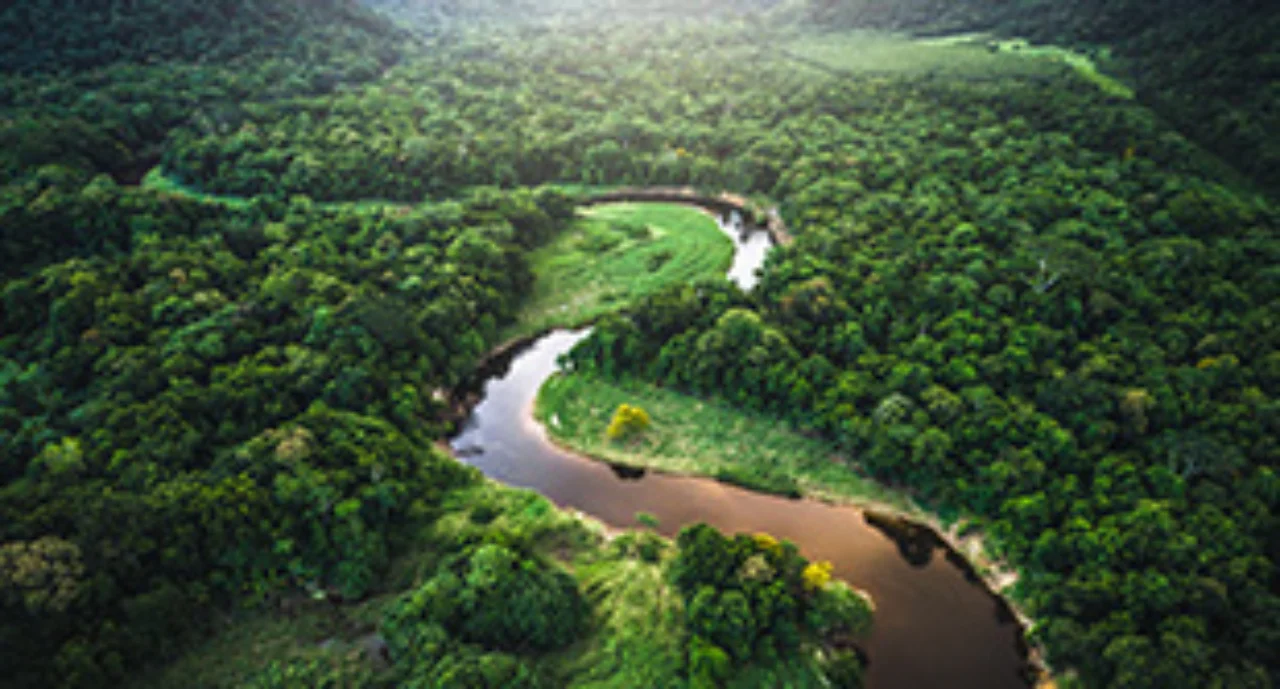 Treasurers are facing key ESG challenges