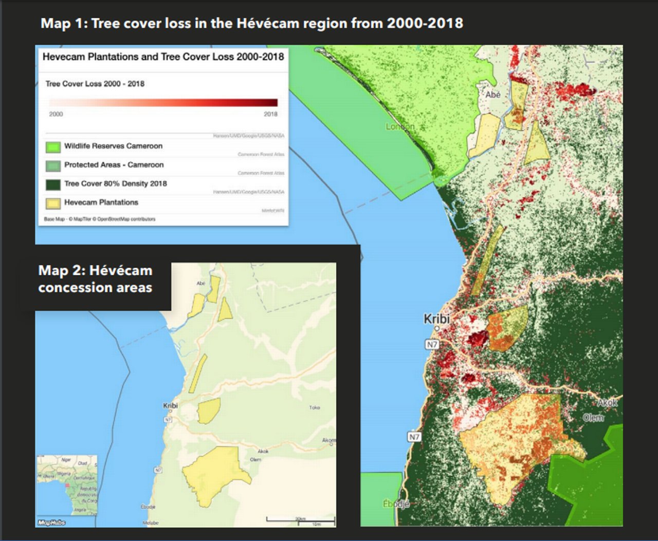 Figure 1: Tree cover loss in the Hévécam region 2000-2018