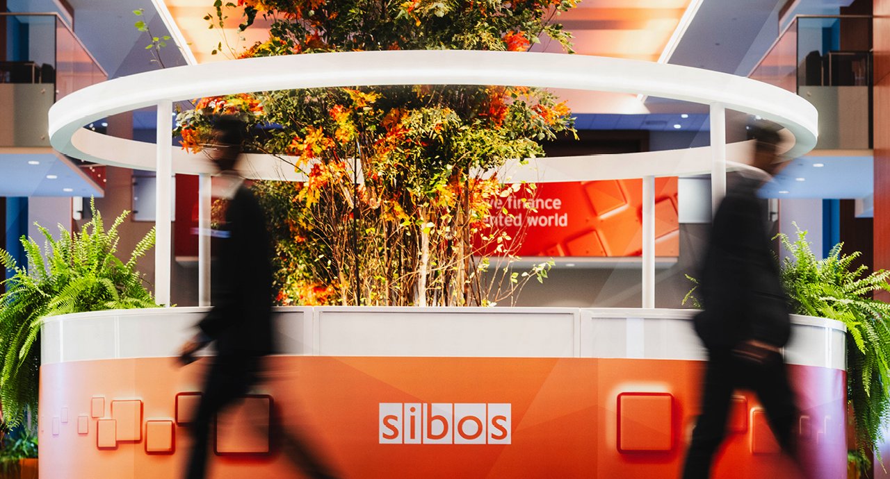 Orange tree planter with sibos written on it