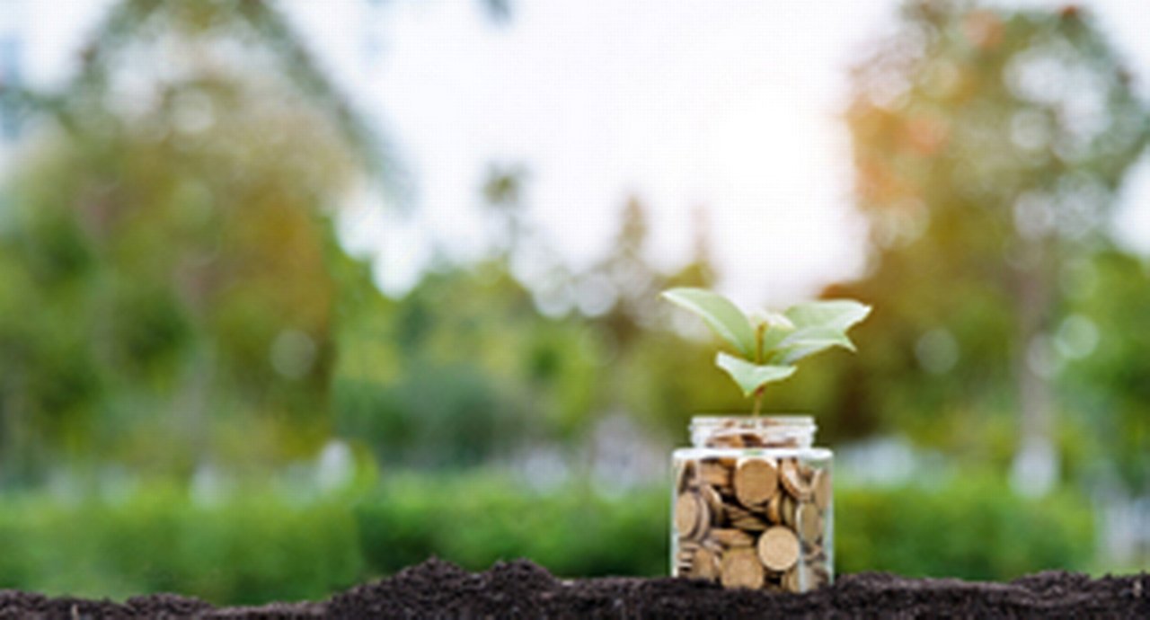 A glass full of coins sprouting a sprig