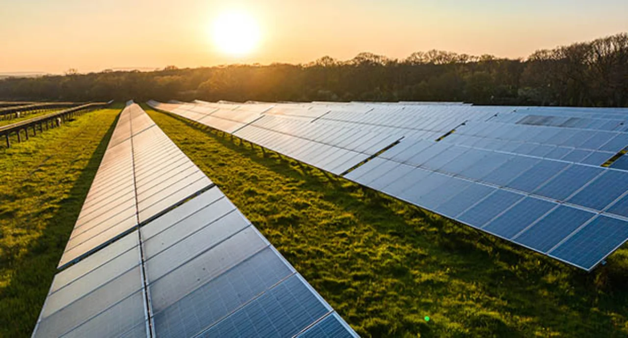 Solar panels in the sundown light
