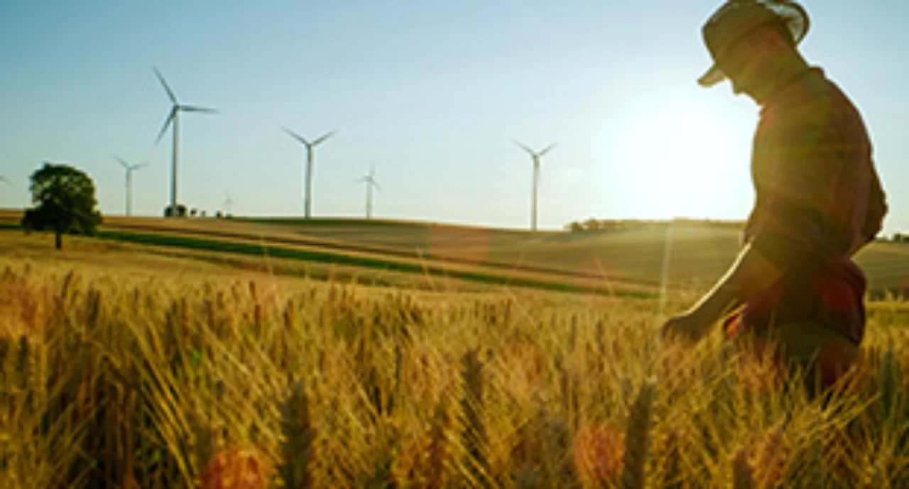 A farmer in a wheat field with windmills in the background