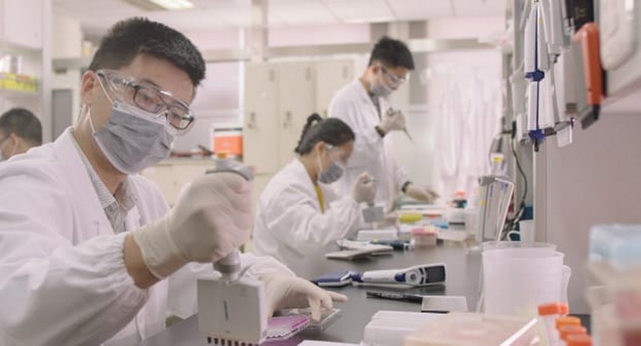 Lab workers in a laboratory