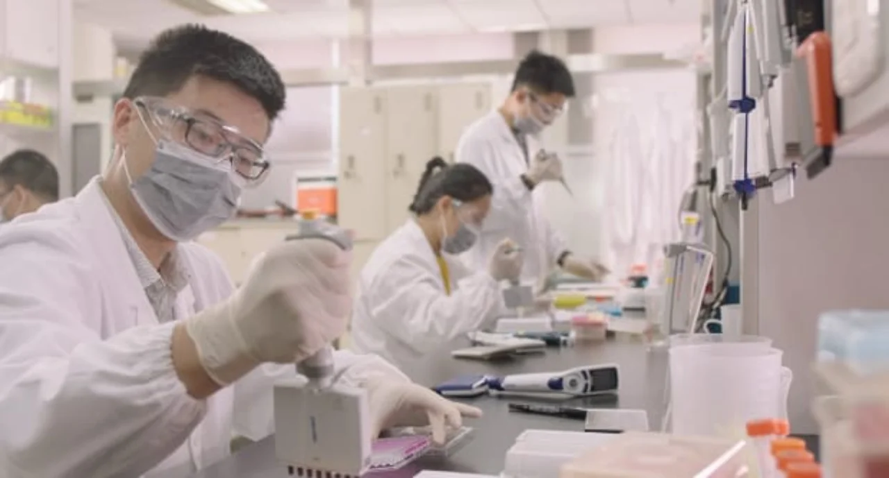 Lab workers in a laboratory