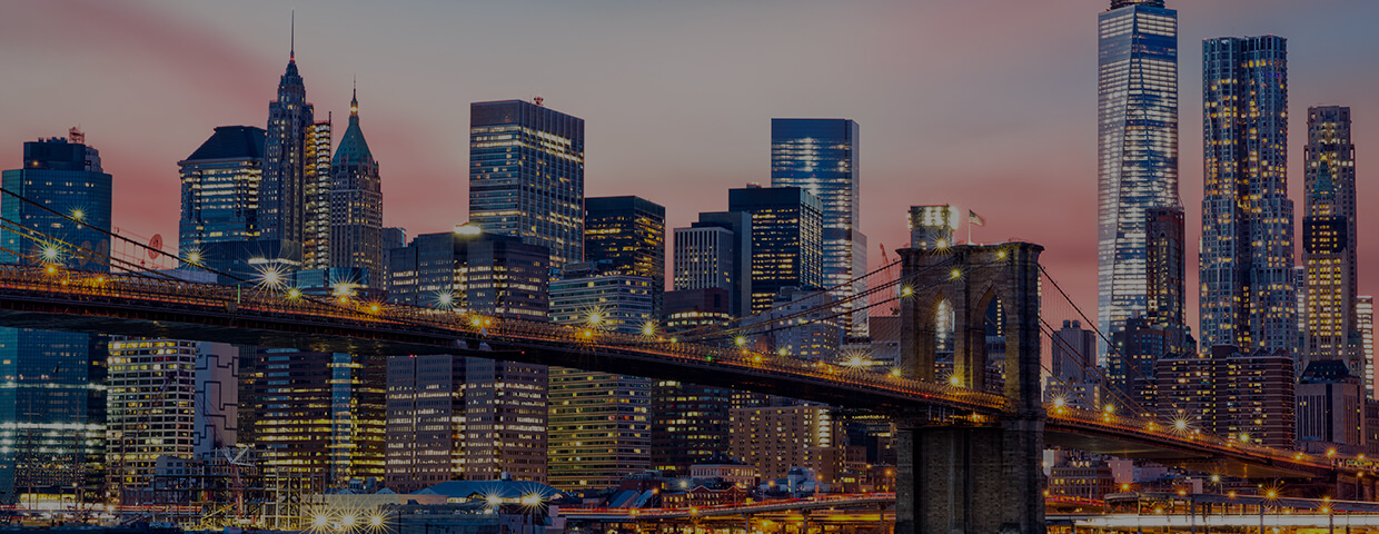 Lower Manhattan Skyline