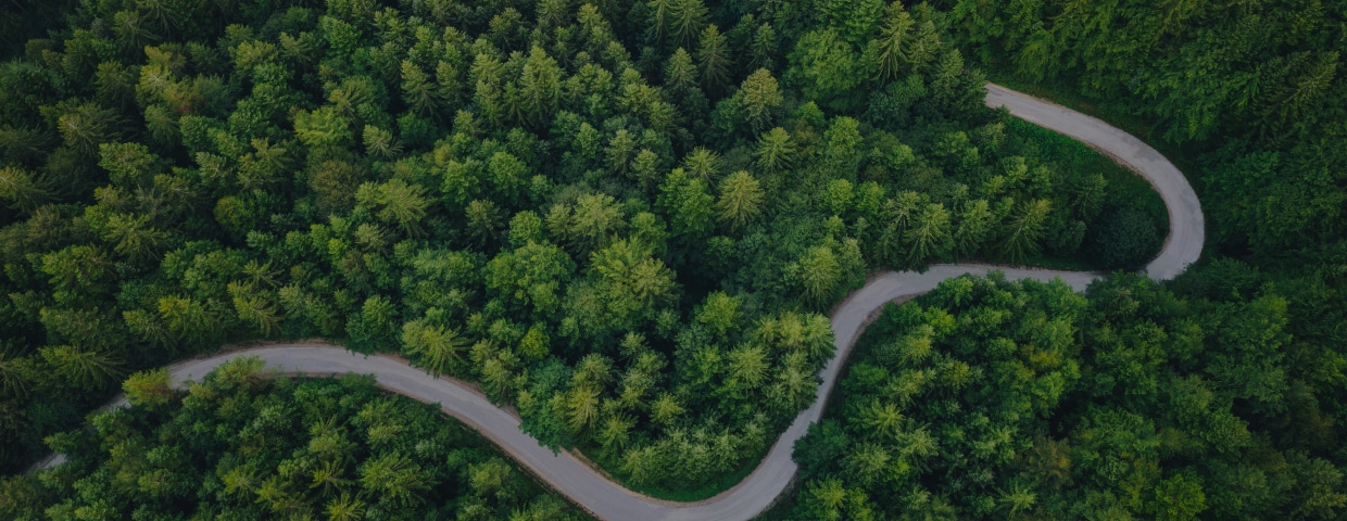 Winding road through forest from above