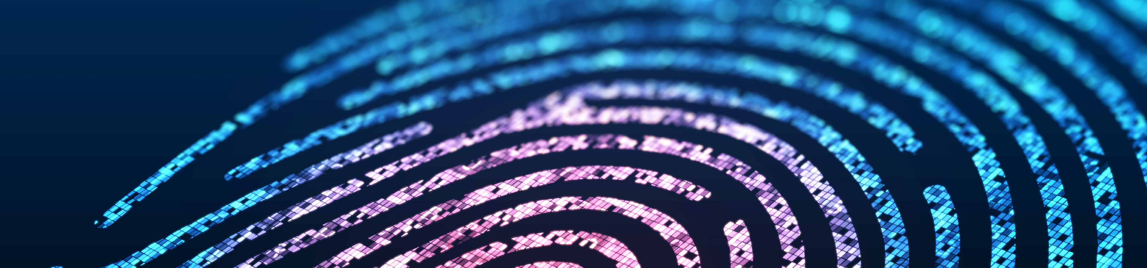 Multicolor fingerprint
