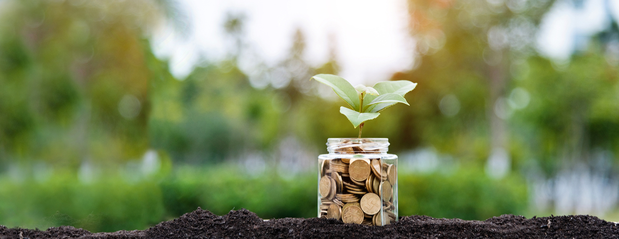 A glass full of coins sprouting a sprig