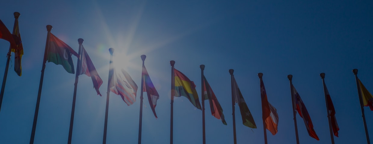 Flags from the G20