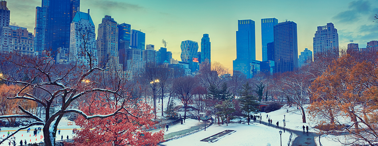 Winter In Central Park Nyc
