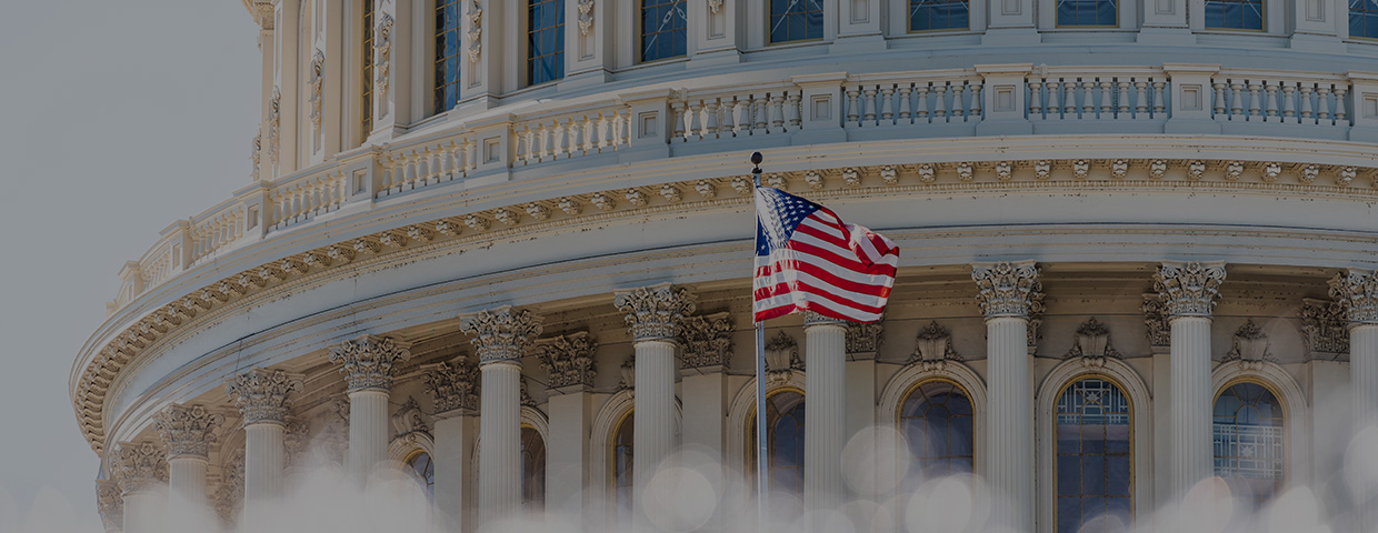 The United States Capitol