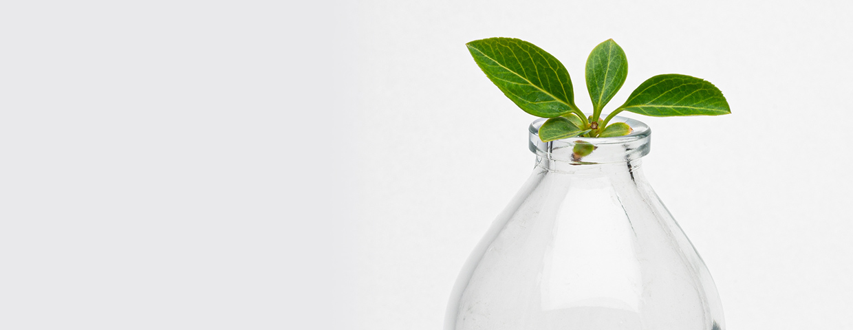 green sprout in a transparent bottle, healthy eat, white background