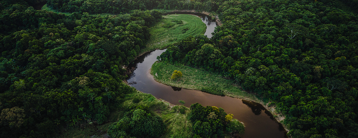 Treasurers are facing key ESG challenges