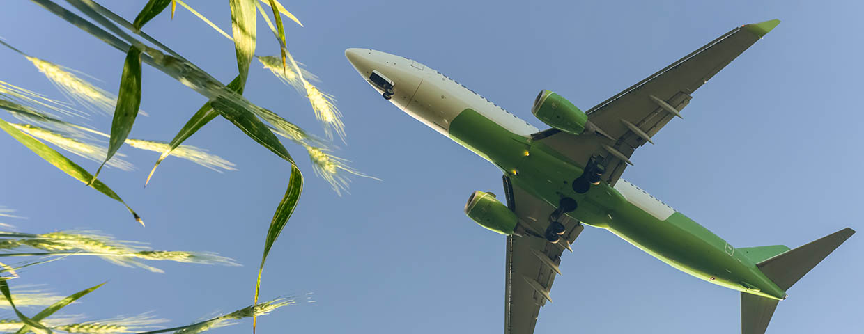 Airplane flying in the blue sky