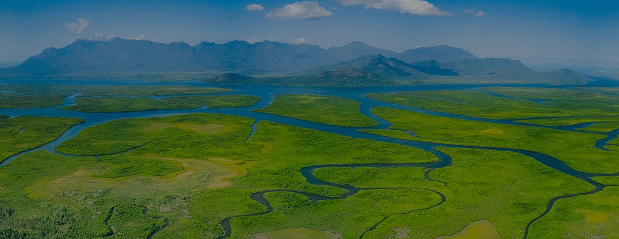 Meandering Rivers And Mangroves Of Hinchinbrook Island