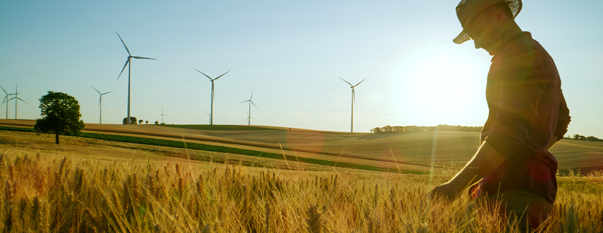 A farmer in a wheat field with windmills in the background