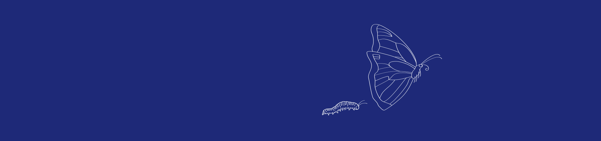 Butterfly vector image on a blue background