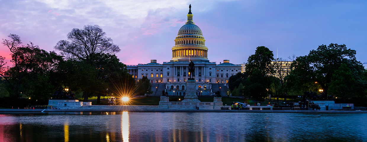 The White House across a pond in dusk
